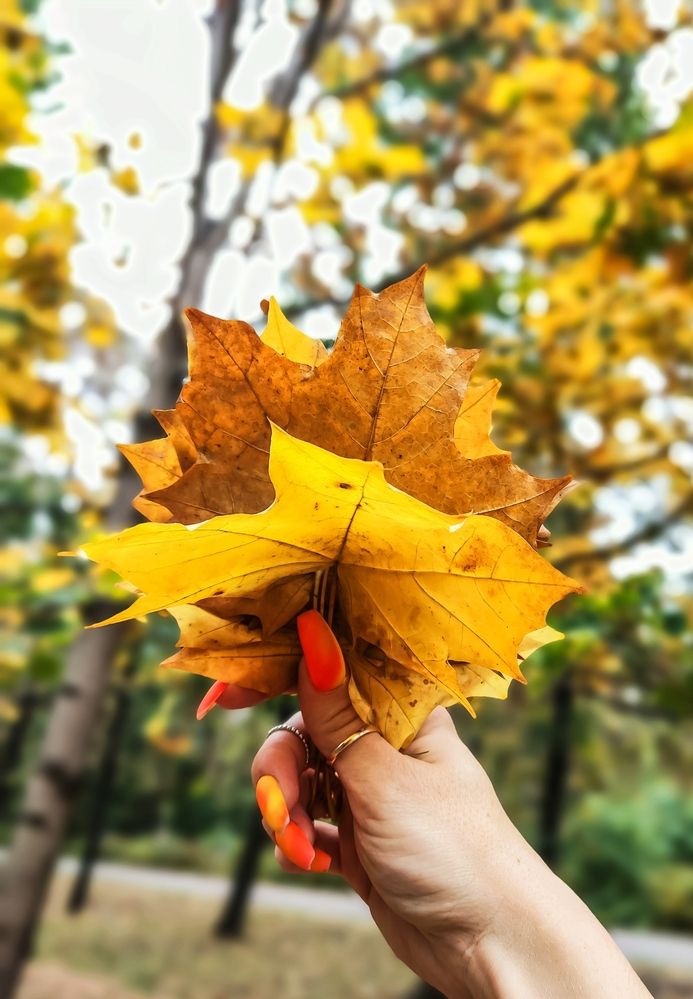 Photograph by Юлия