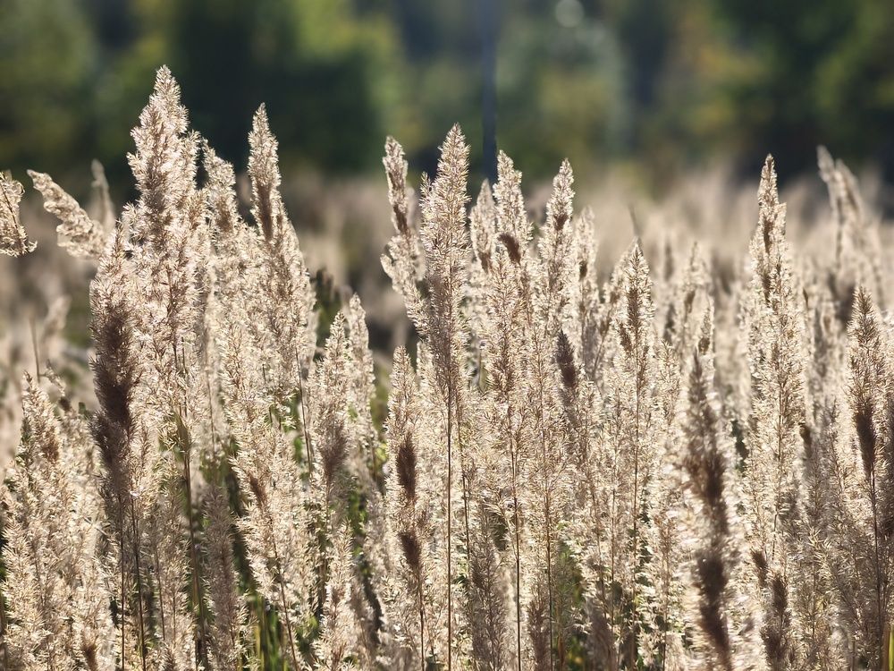 Photograph by Марина Опарина