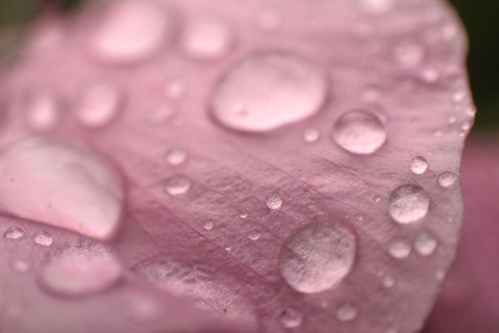 Фотография автора Polina