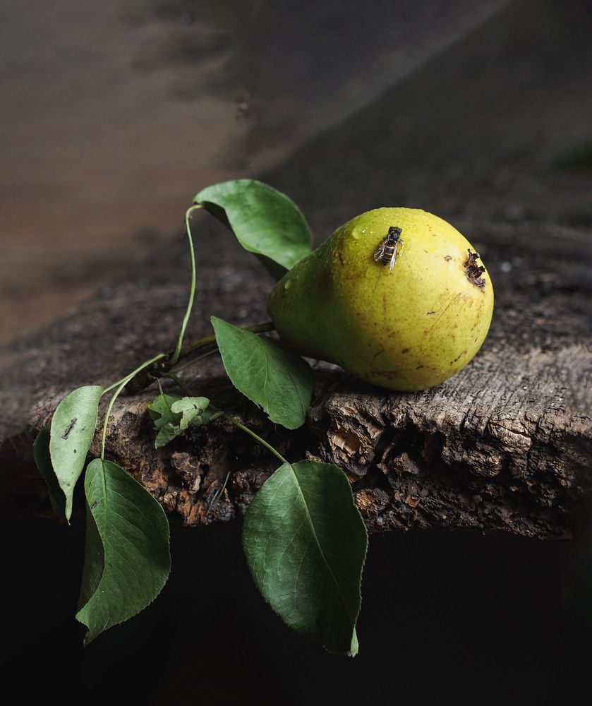 Фотография автора Svetlana Inyusheva