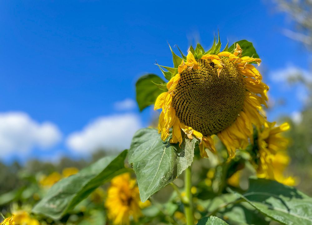 Photograph by Ангелина