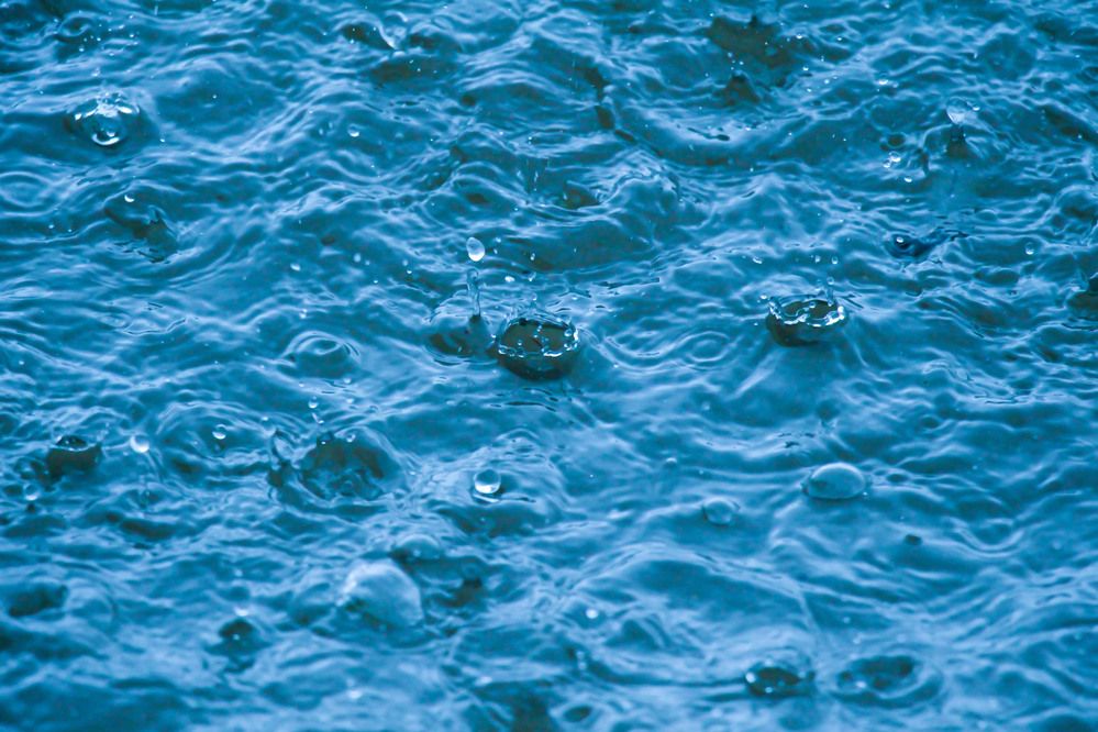 Фотография автора Polina