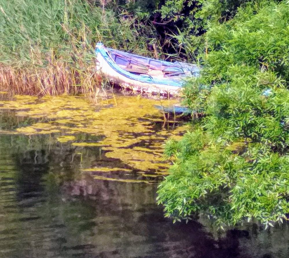 Photograph by Анна Андреевна