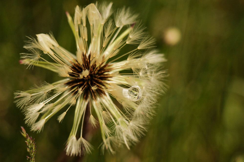 Фотография автора Polina