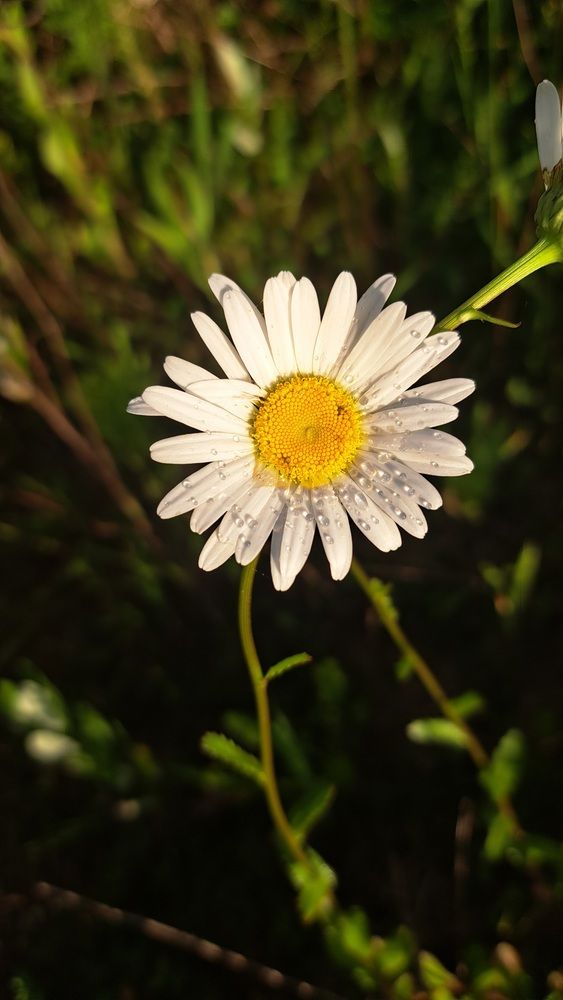 Photograph by Артём Никулинский