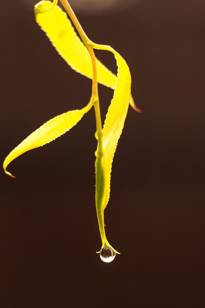 Фотография автора Polina