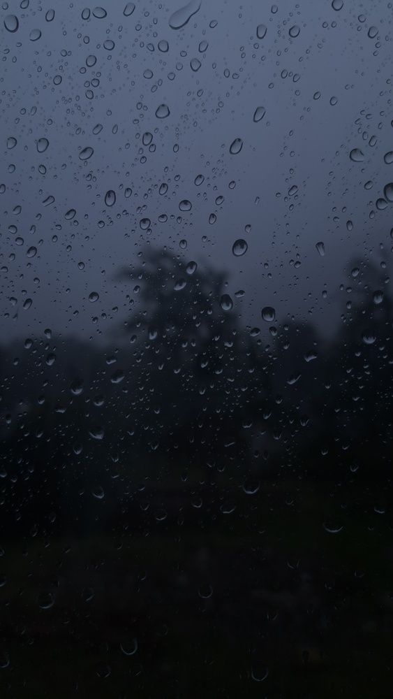 Photograph by Артём Никулинский