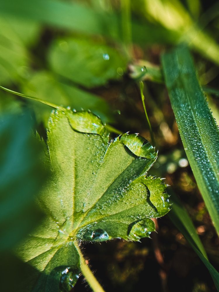 Photograph by Алиса Чугунова