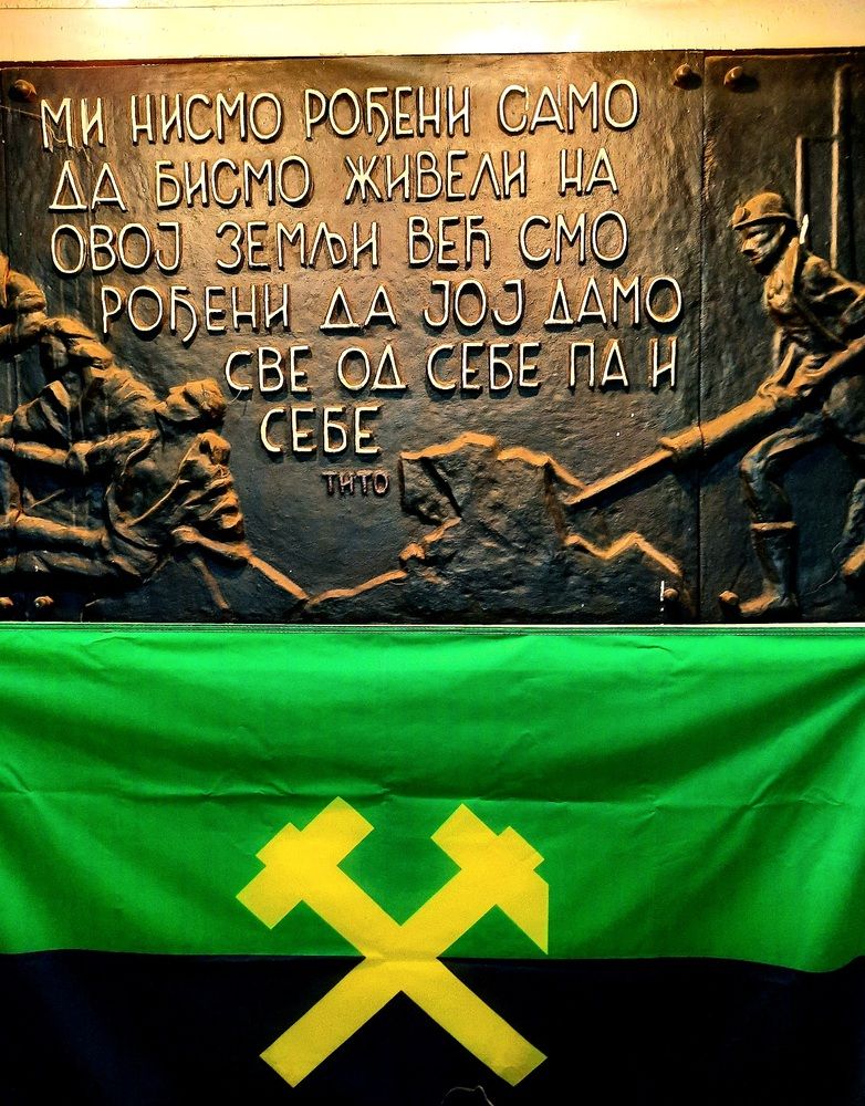 Фотография автора JELENA VASIC