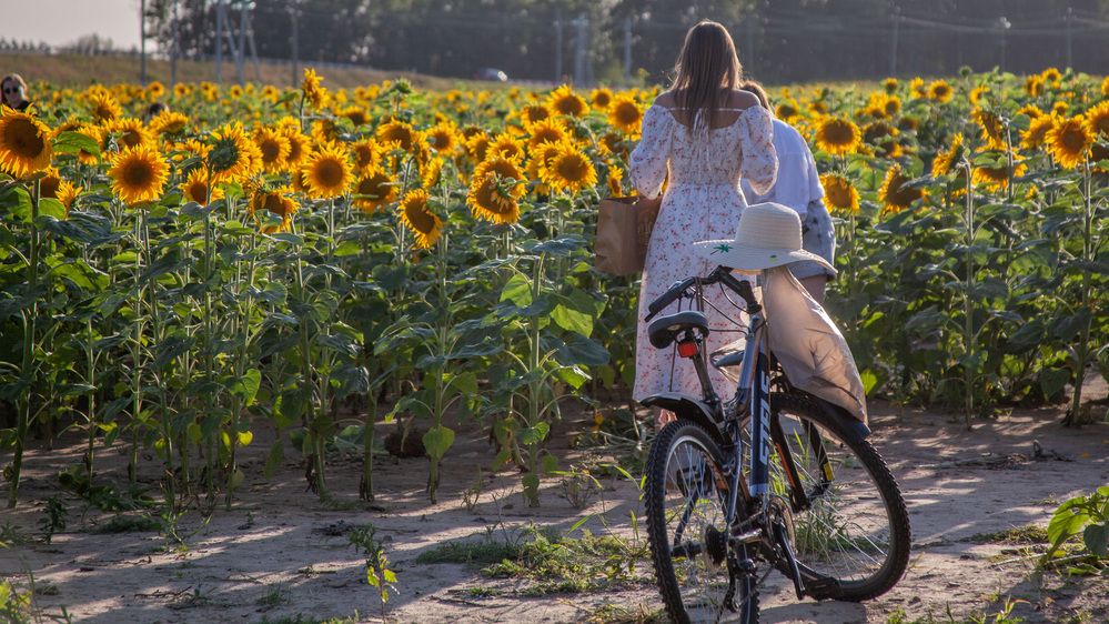 Photograph by Алексей Борисов