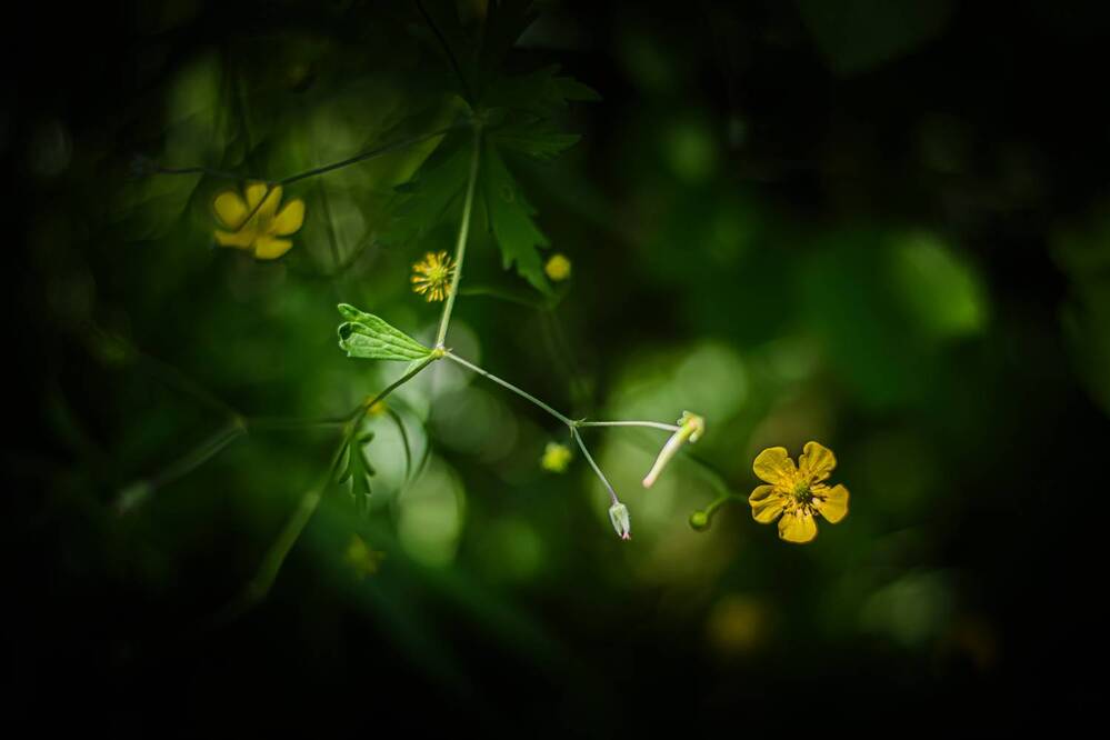 Фотография автора Maxim Bondar