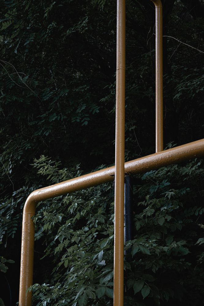 Photograph by Анастасия Дементьева