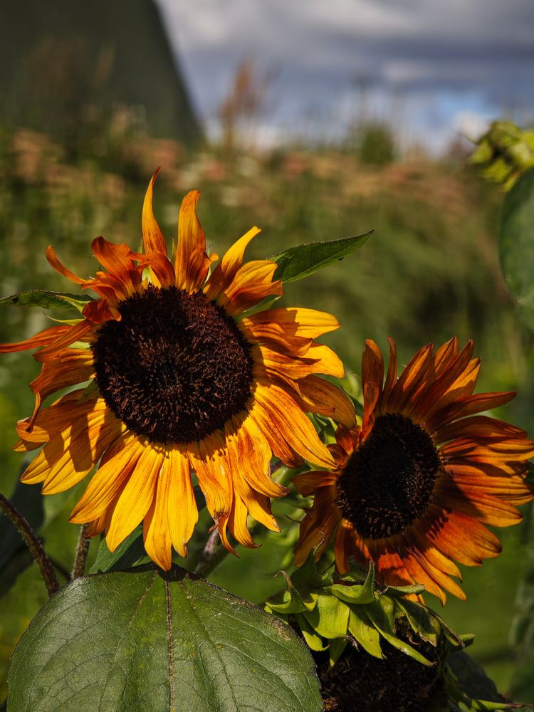 Photograph by Ljubov Trombovetskaja