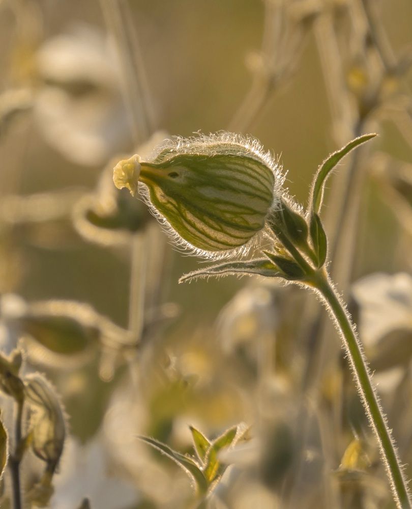 Photograph by Валентина Куренкова