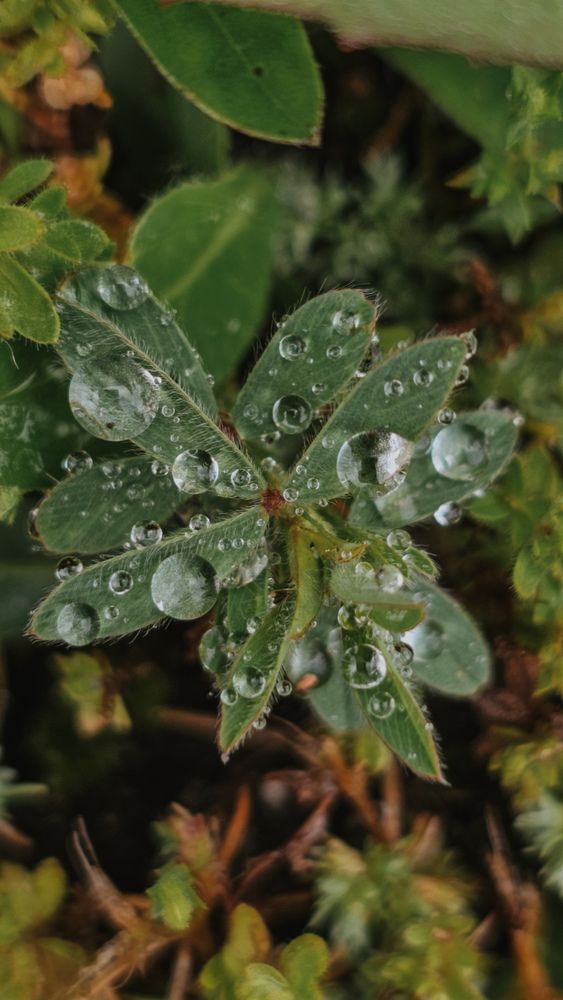 Фотография автора Ольга Рыняк