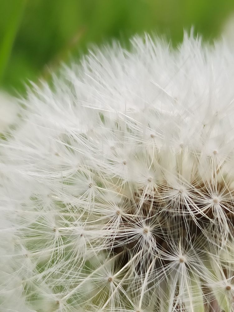 Photograph by Игорь Максимов