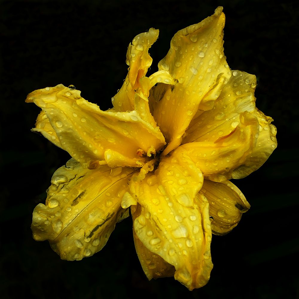 Photograph by Михаил Малец