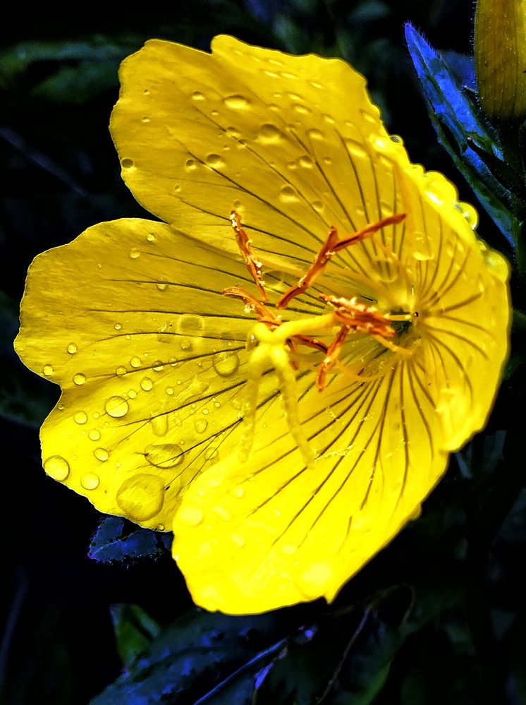 Photograph by Михаил Малец