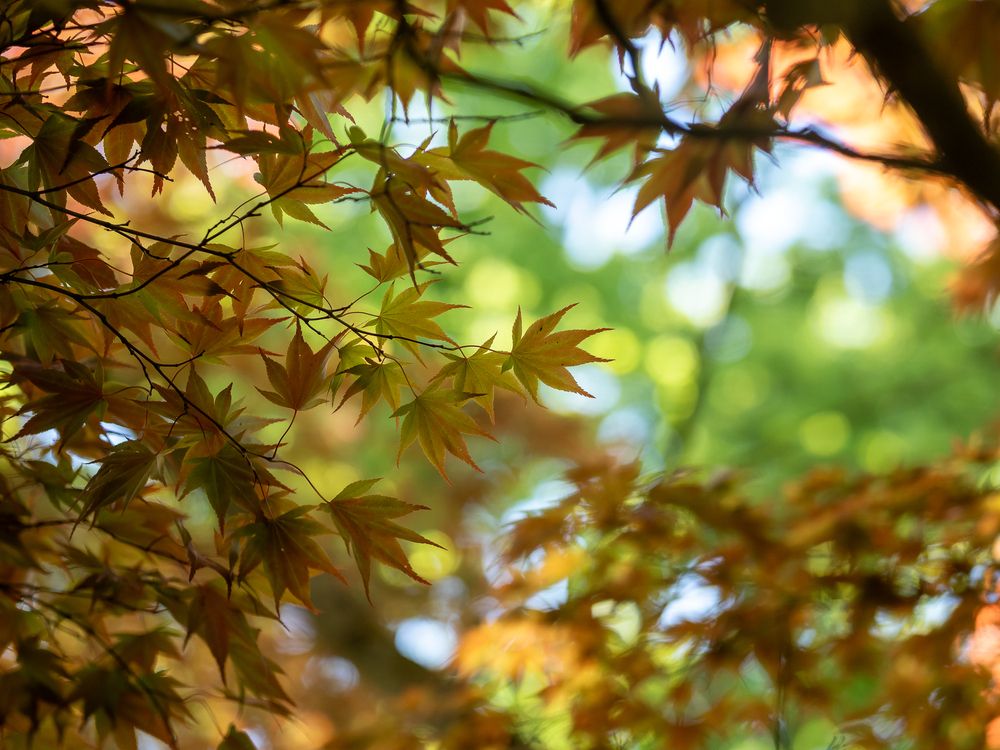 Photograph by Ирина Протченко