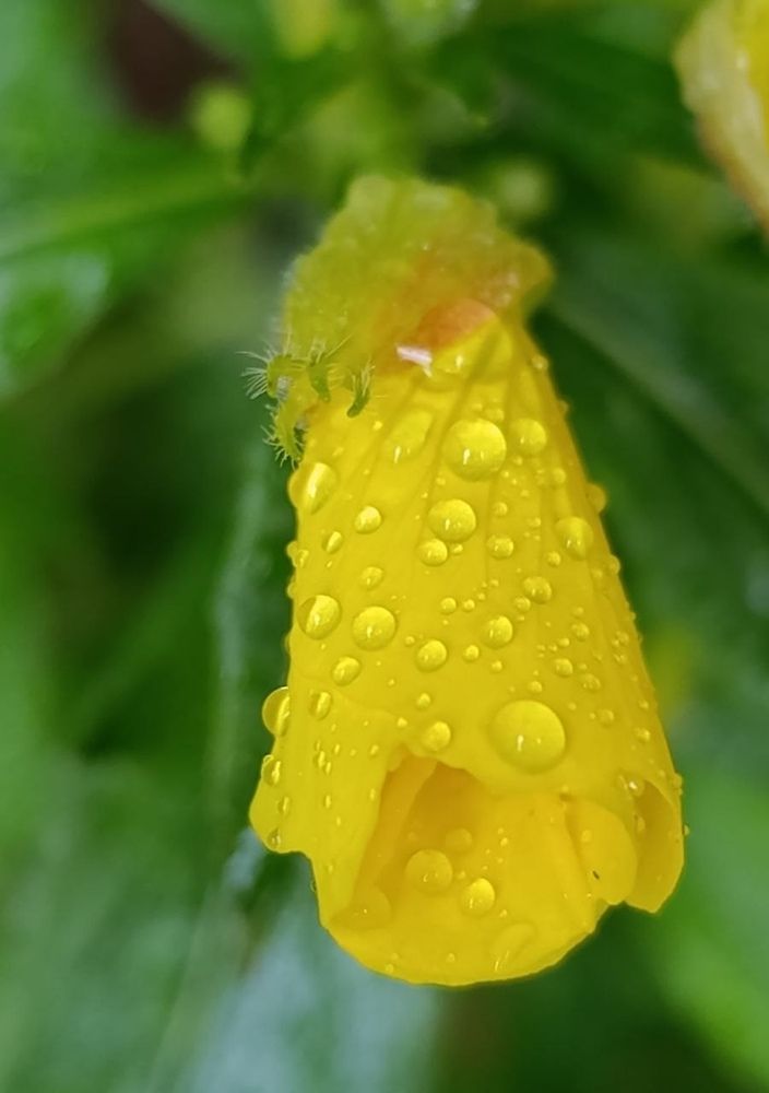 Photograph by Ирина Сидорова