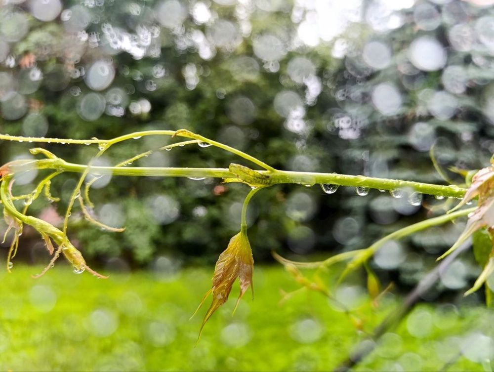 Photograph by Ирина Сидорова