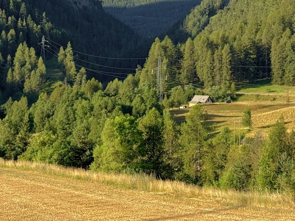 Photograph by Marina Odintsova