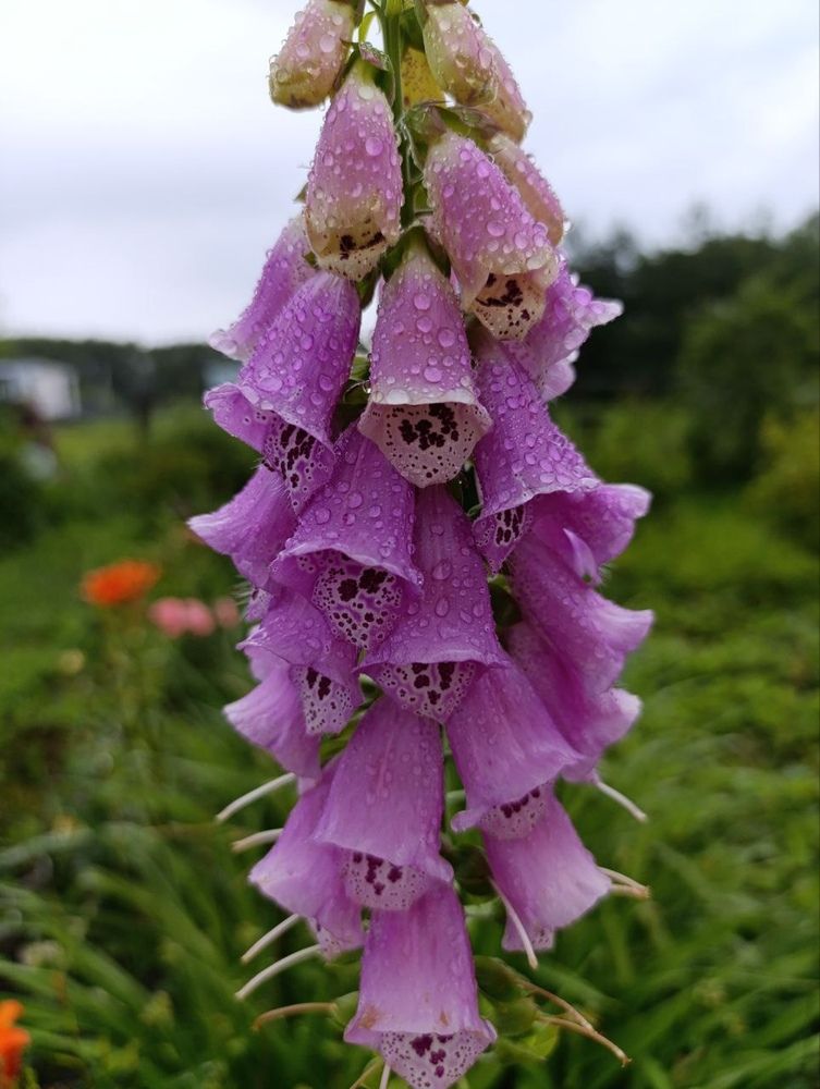 Photograph by Ирина Сидорова