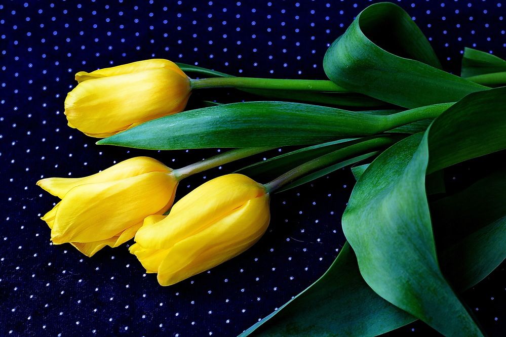 Photograph by Виталий Симоненков