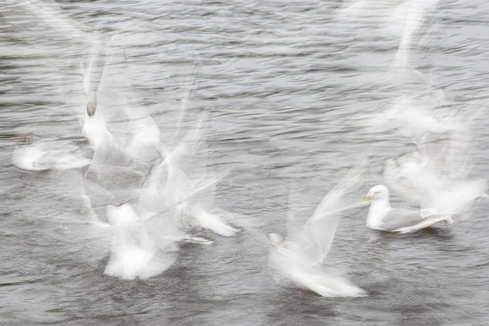 Photograph by Leanid Kulpo