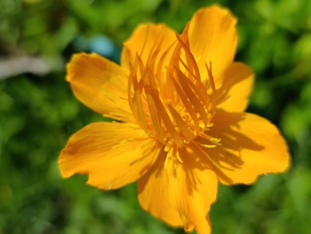 Photograph by Ирина Сидорова