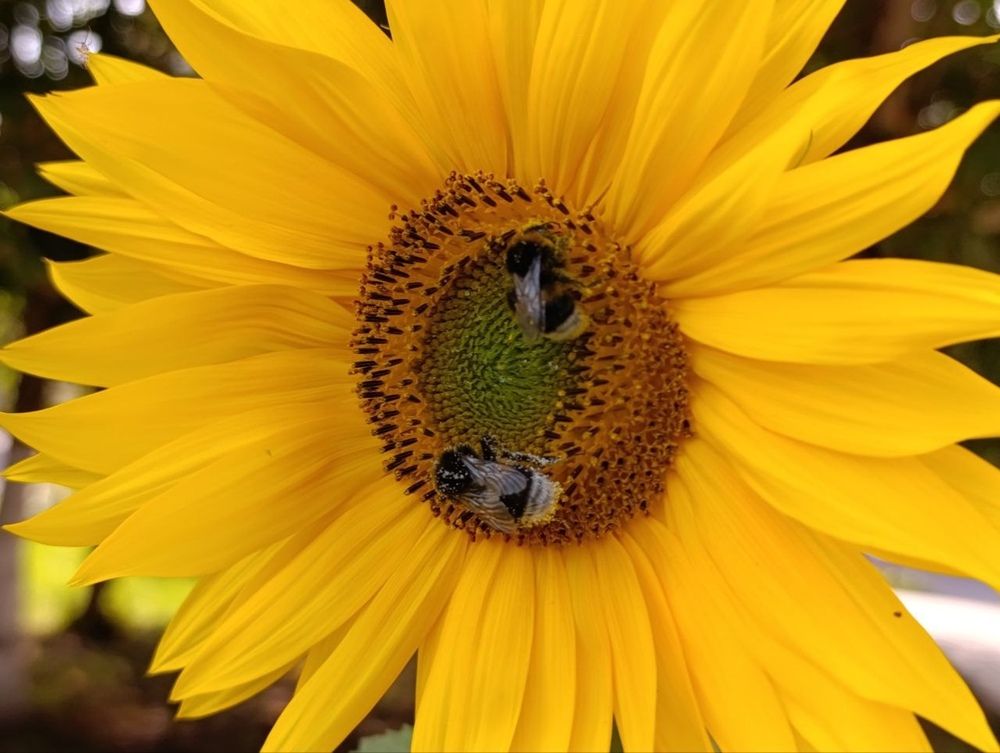 Photograph by Ирина Сидорова