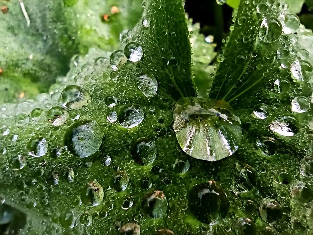 Photograph by Алена