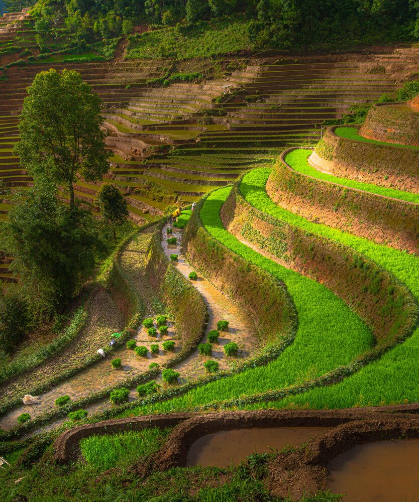 Photograph by Duc Nguyen