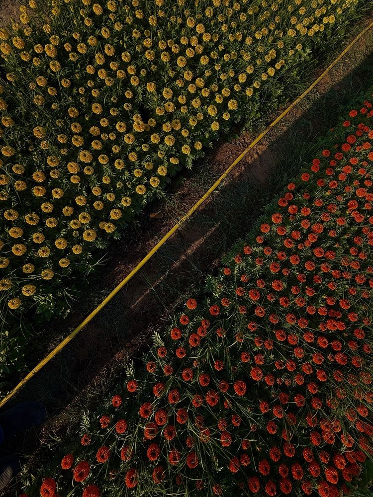 Photograph by Zubair Irshad