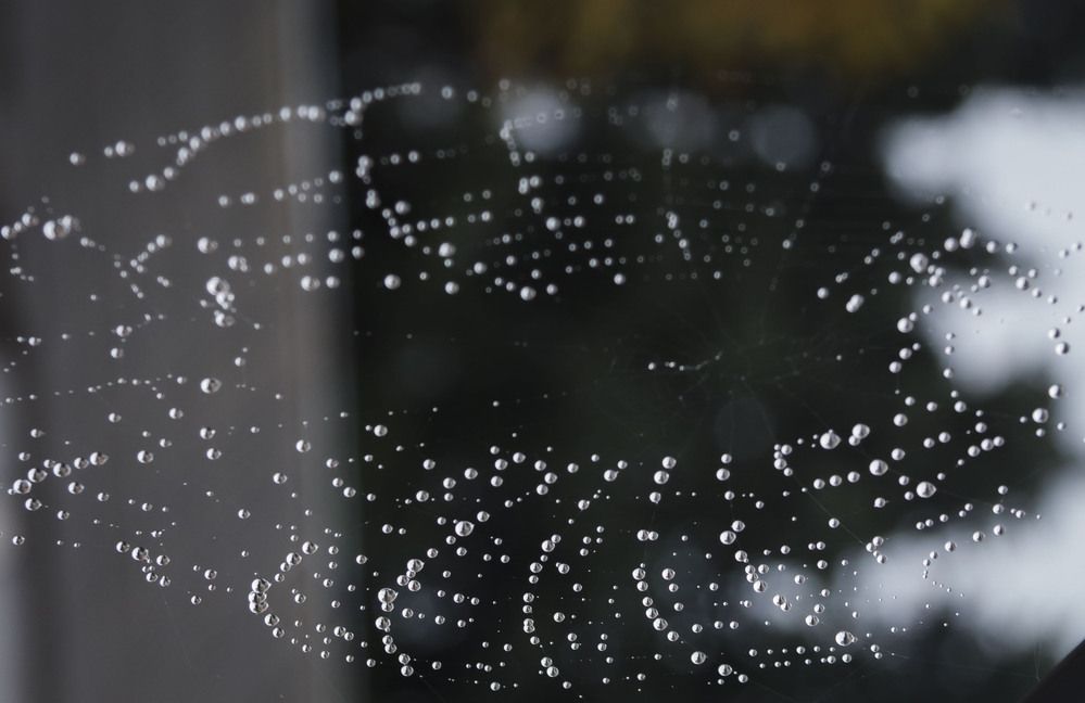 Photograph by Игорь Сидун