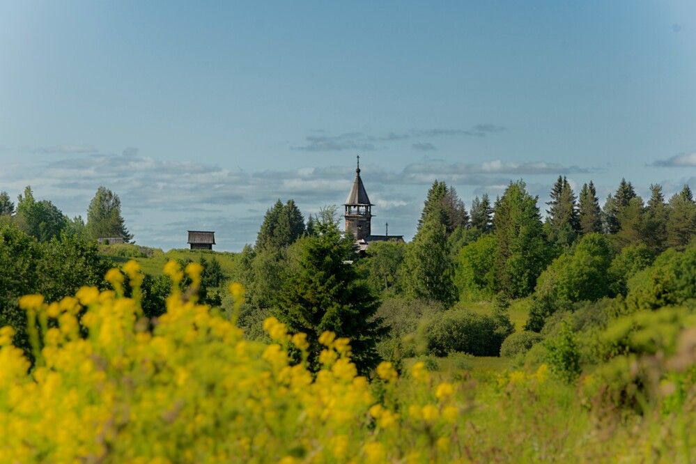 Photograph by Alex P