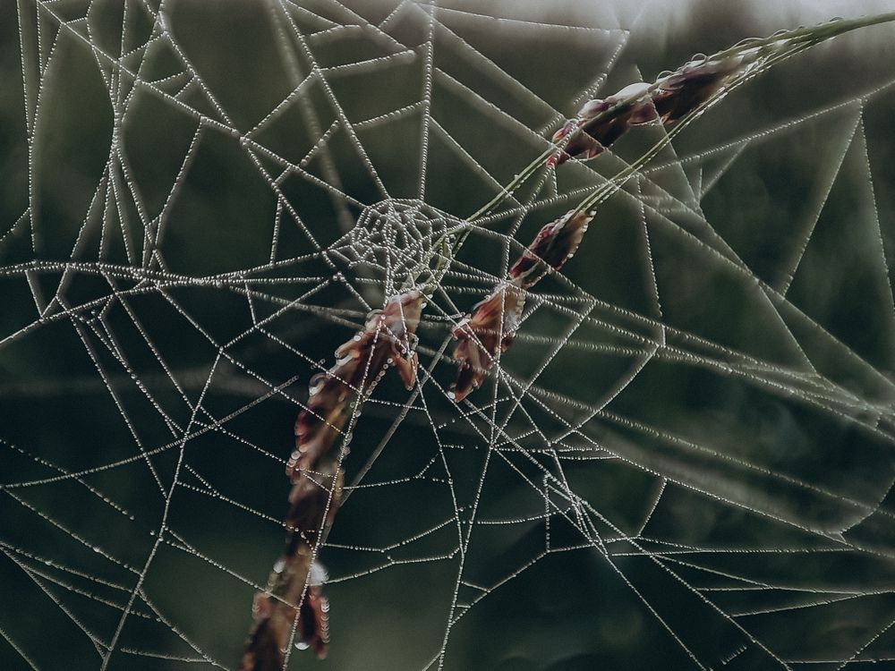 Фотография автора Ирина Романовская