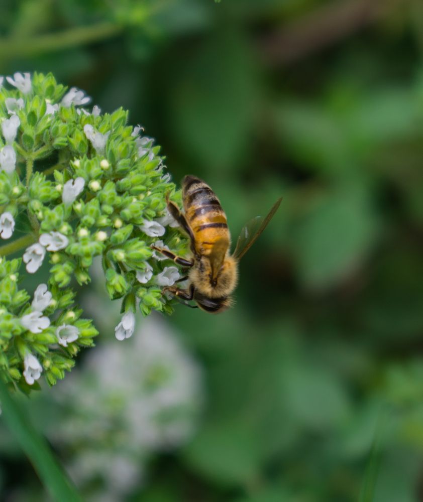 Photograph by zahra salardini