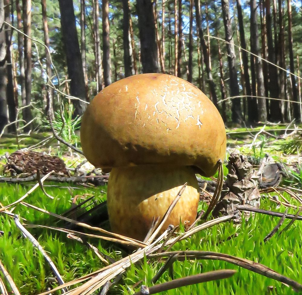 Photograph by Николай