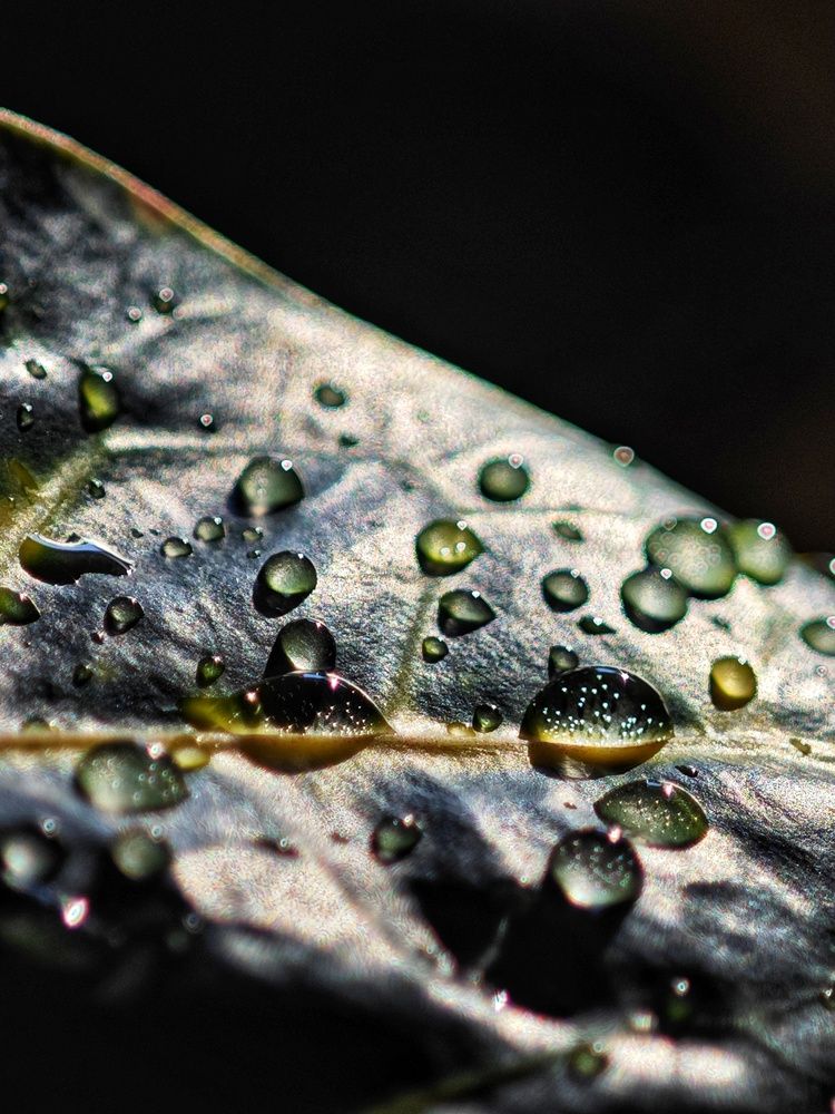 Photograph by Екатерина Кирьянова