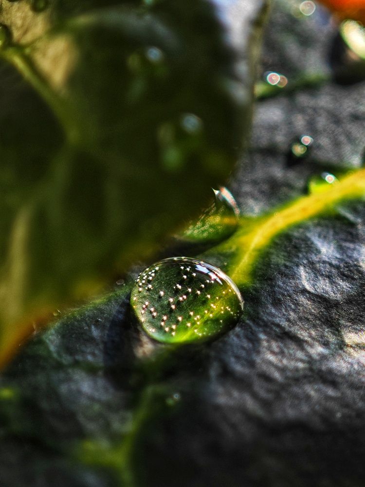 Photograph by Екатерина Кирьянова