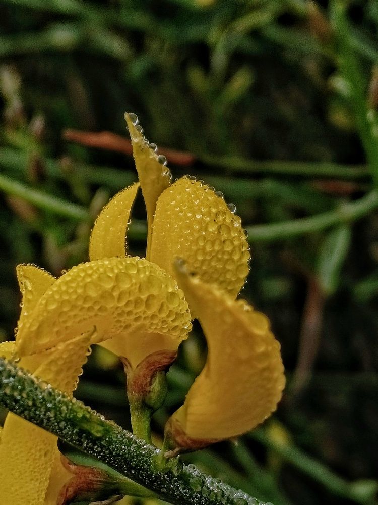 Photograph by Мирослава Сурженко