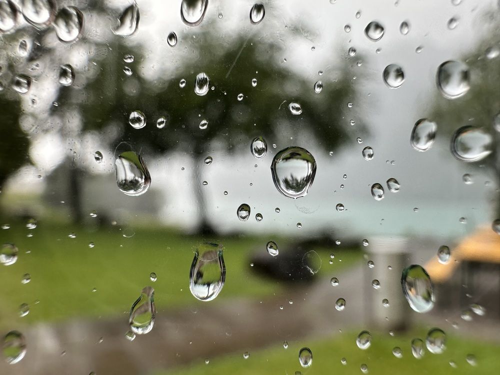 Photograph by Елена Брижеватая