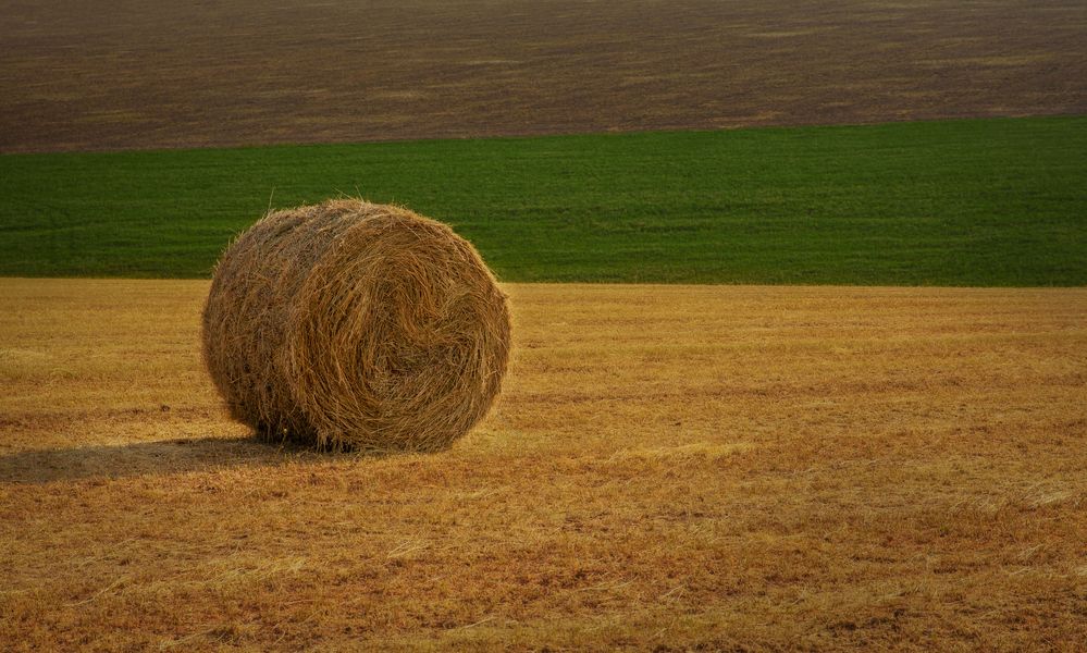 Фотография автора Сухенко Олег