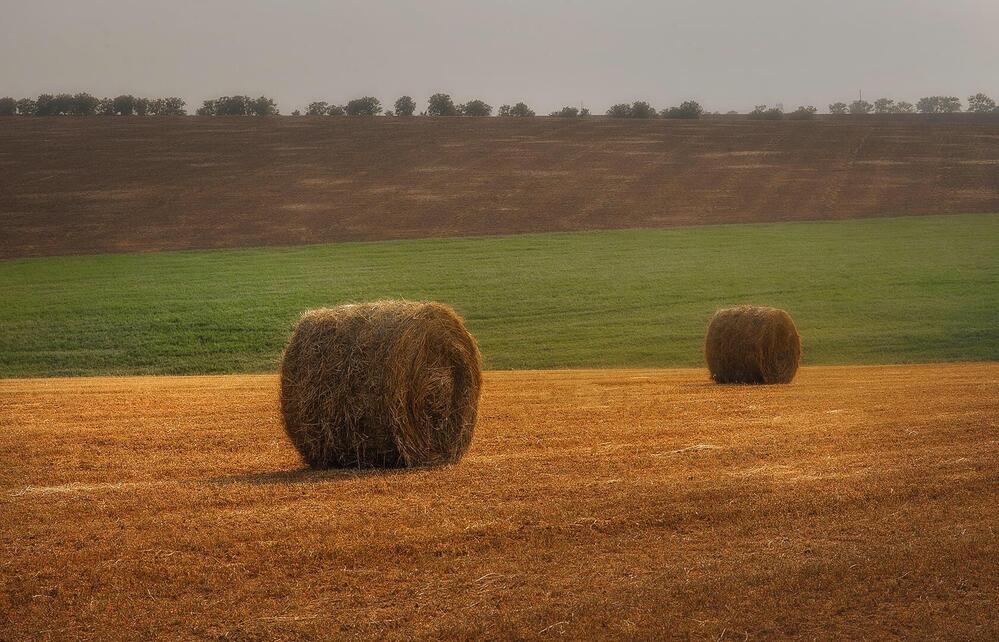 Фотография автора Сухенко Олег