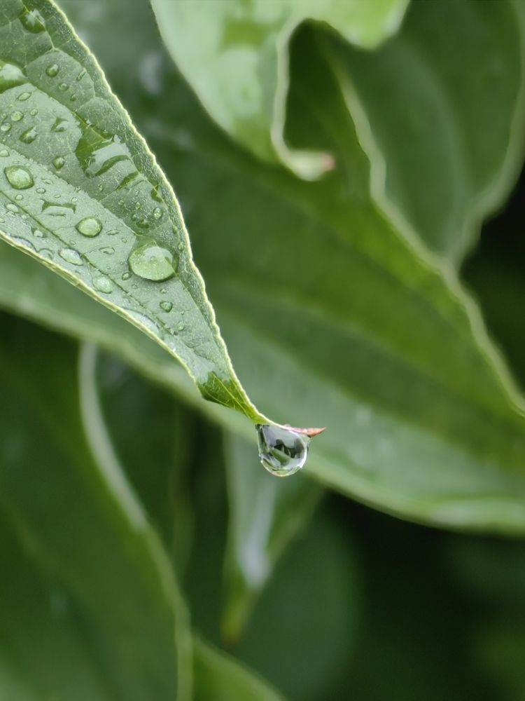 Photograph by Veranika Siratsinina