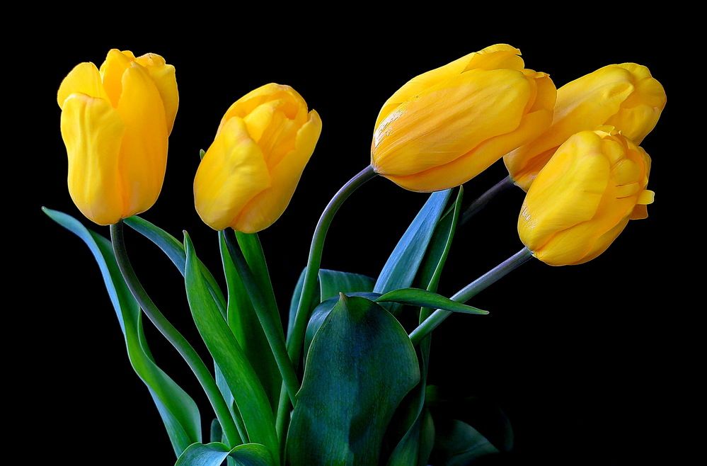 Жёлтый и зелёный