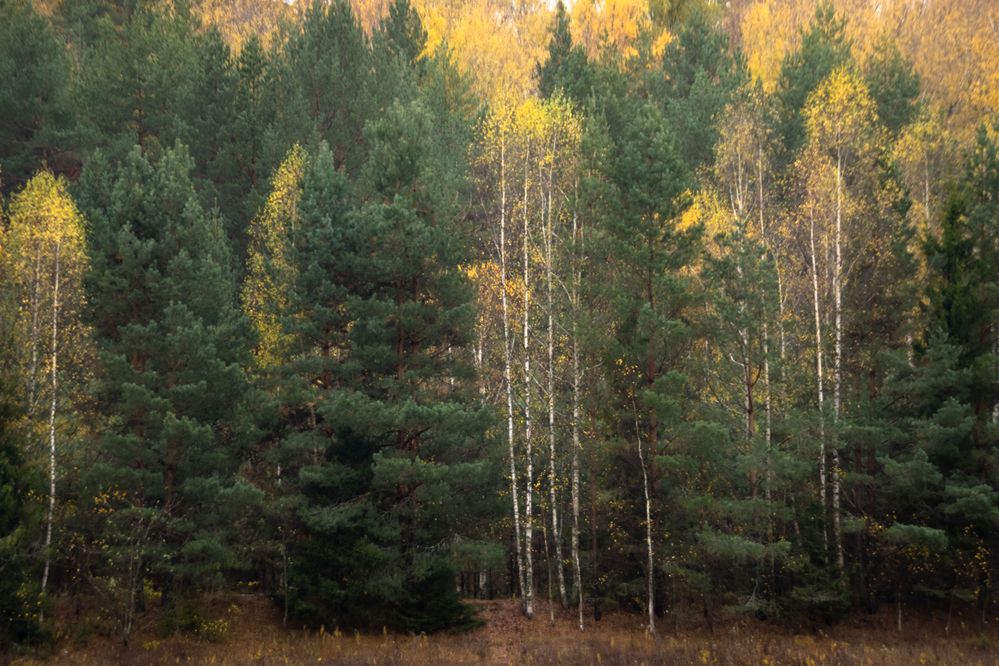 Photograph by Татьяна Романова