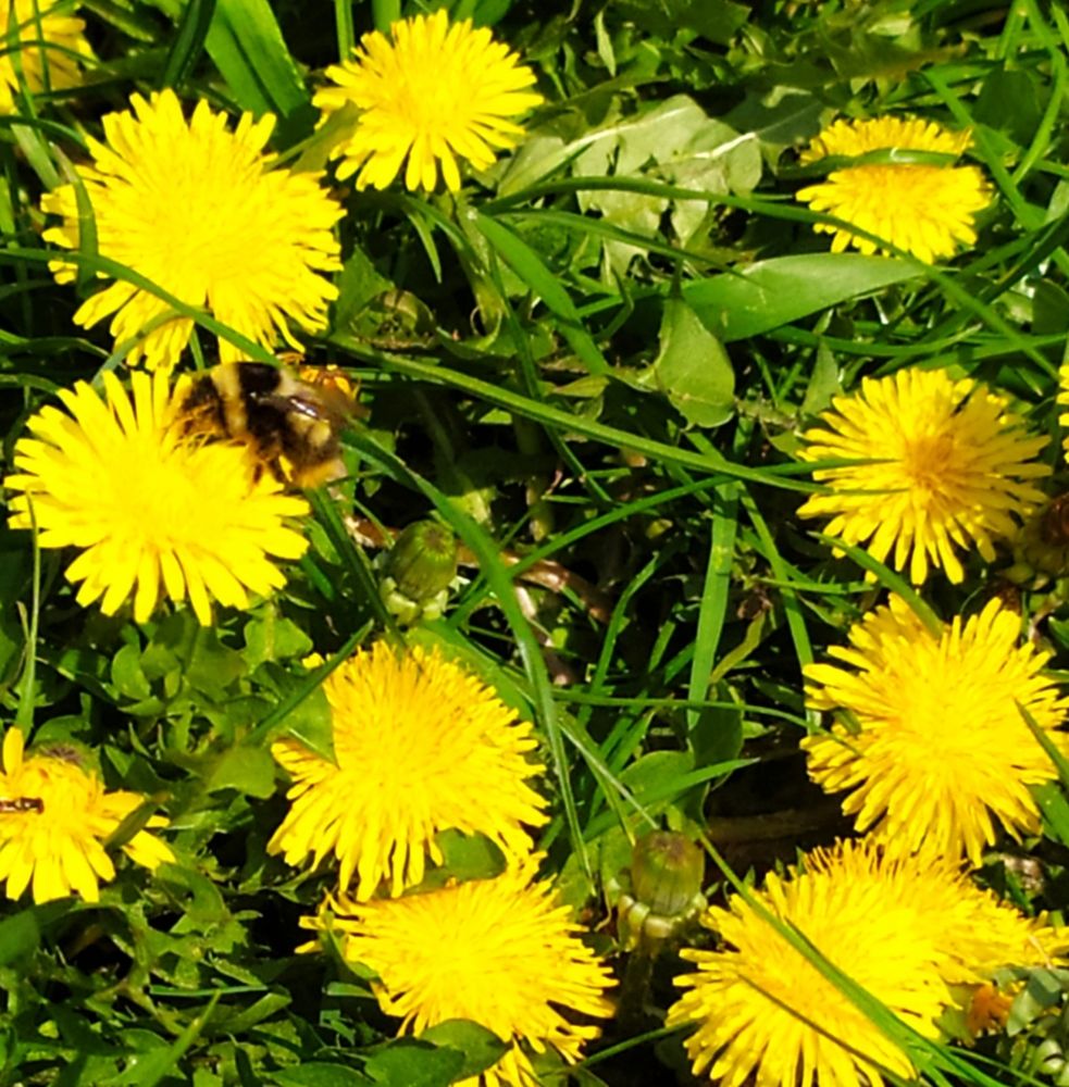 Photograph by Татьяна Клемба