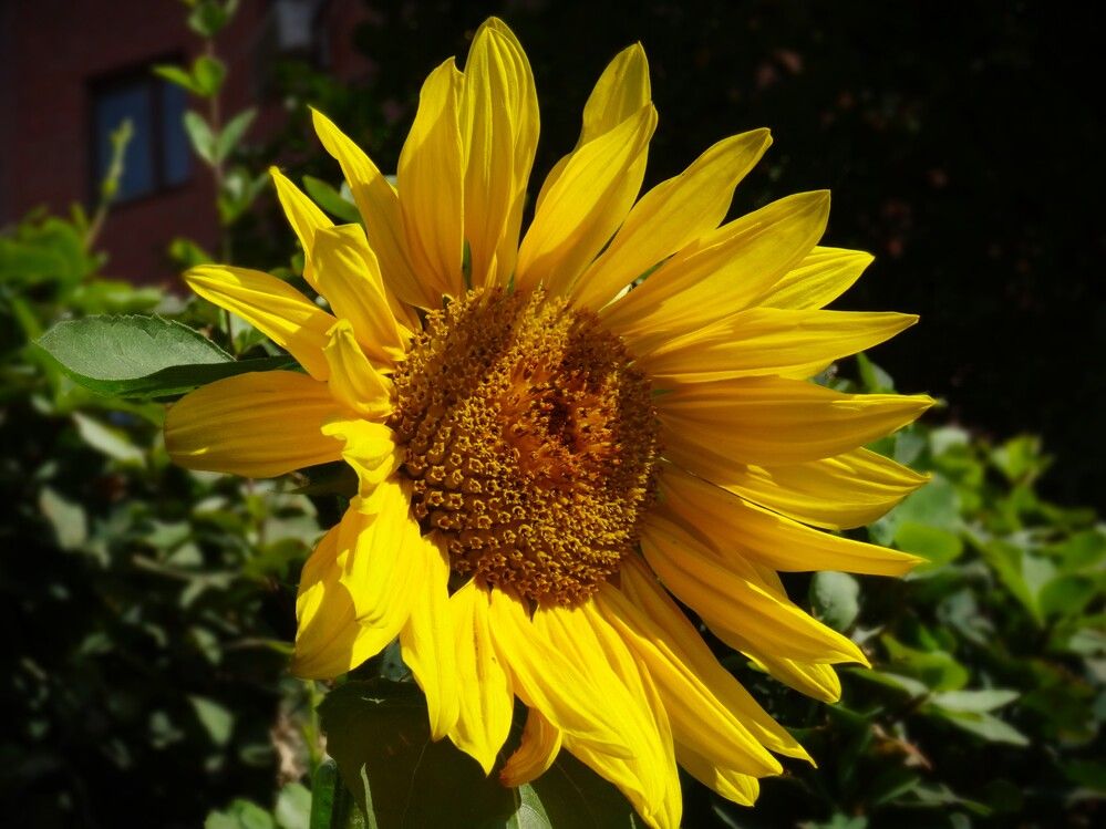 Photograph by Марина Раткун